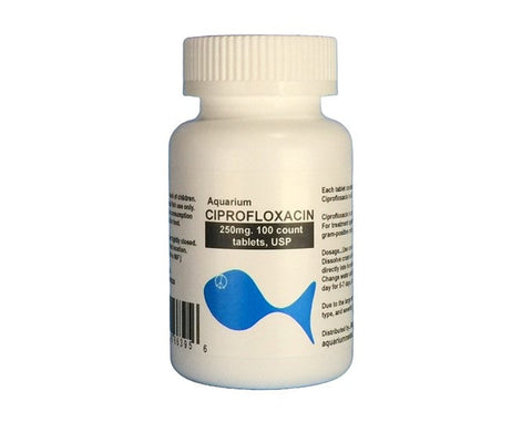 Fix Flox 250mg 100-Capsules